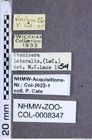 Etiketten zu Selatosomus lateralis (LeConte, 1853) (NHMW-ZOO-COL-0008347)